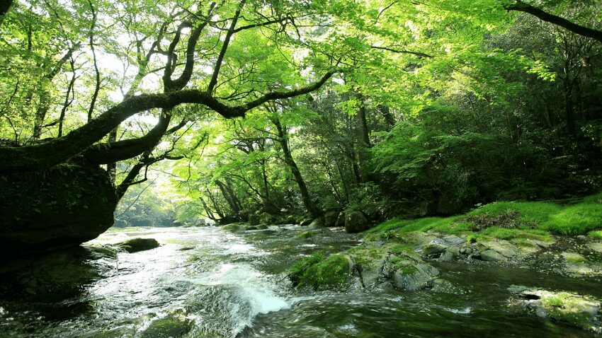 想いを形にすることの大切さ  ～父の死を通じた縁ディングノートとの出会い～